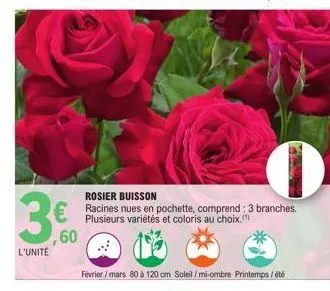 3€  ,60  l'unité  rosier buisson  racines nues en pochette, comprend: 3 branches. plusieurs variétés et coloris au choix.  février / mars 80 à 120 cm soleil/mi-ombre printemps/été 