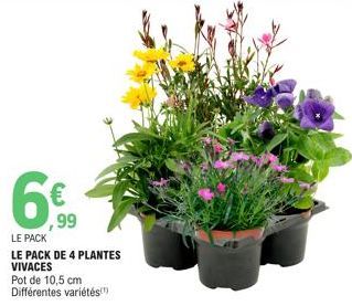 ,99  LE PACK  LE PACK DE 4 PLANTES VIVACES  Pot de 10,5 cm Différentes variétés) 