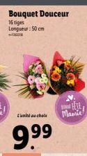 Bouquet Douceur  16 tiges Longueur: 50 cm  60  FETE L'unité au choix Mamie  9.9⁹9⁹ 