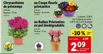 plantes 3M