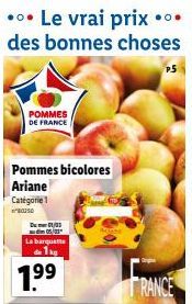 pommes 