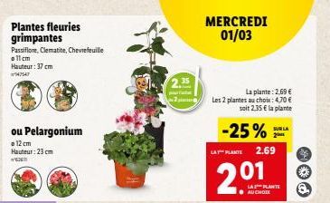 Plantes fleuries grimpantes  Passiflore, Clematite, Chevrefeuille  11 cm Hauteur: 37 cm  747547  ou Pelargonium  12 cm Hauteur: 23 cm  YEN  2.35  2  MERCREDI 01/03  La plante: 2,69 € Les 2 plantes au 