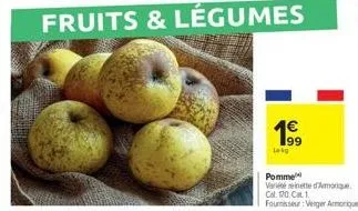 fruits & légumes  199  leig  pomme  variétérinette d'amorique. cal.120, c1  fournisseur: verger armorique 