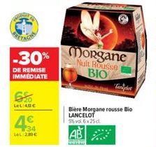 SONY  -30%  DE REMISE IMMEDIATE  6%  LeL:40€  34 LeL 289 €  Morgane  Nuit Rousse BIO  Bière Morgane rousse Bio LANCELOT 5% vol 6x25c  AB 