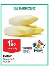 189  ENDIVE Catégorie 1.  Fr. 6224  DÈS MARDI 21/02  ORGNE  FRANCE  FRUITS LEGUMES FRANCE 