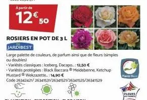 a partir de  12€ 50  rosiers en pot de 3 l  jardibest  large palette de couleurs, de parfum ainsi que de fleurs (simples ou doubles)  variétés classiques: iceberg, dacapo..: 12,50 €  variétés protégée
