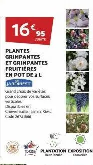 16€95  l'unité  plantes grimpantes  et grimpantes fruitières  en pot de 3 l  jardibest  grand choix de variétés pour décorer vos surfaces verticales disponibles en  chèvrefeuile, jasmin, kiwi. code 26