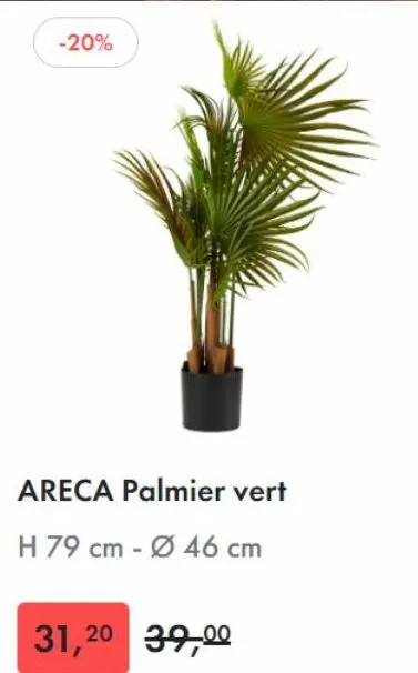 -20%  areca palmier vert  h 79 cm - ø 46 cm  31,20 39,00  