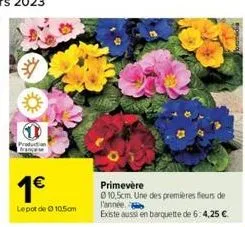 production  1€  lepot de ⓒ 10.5cm  primevère  0 10,5cm. une des premières fleurs de l'année.  existe aussi en barquette de 6:4,25 € 