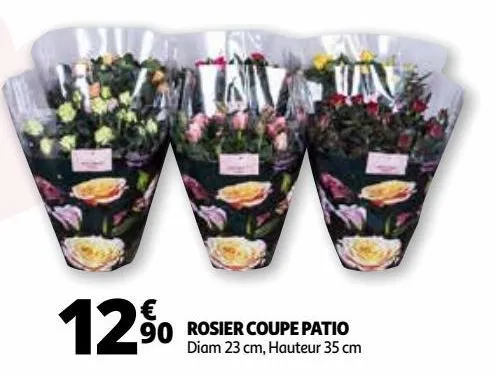 rosier coupe patio
