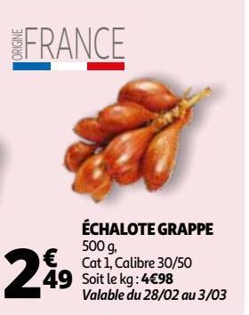 ÉCHALOTE GRAPPE
