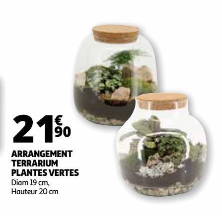 ARRANGEMENT TERRARIUM PLANTES VERTES