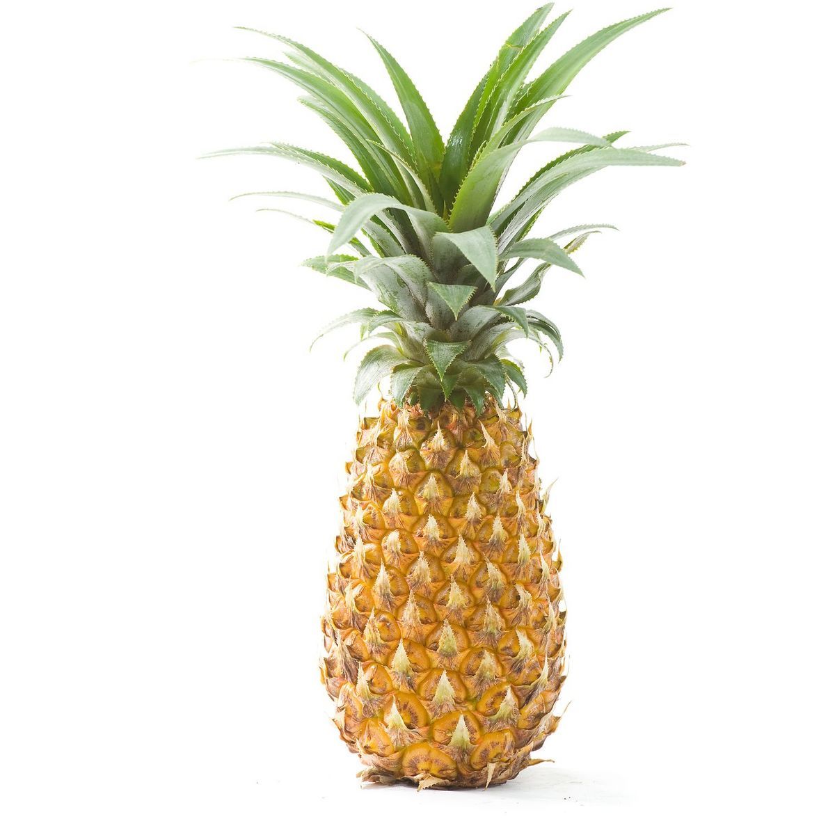 ANANAS