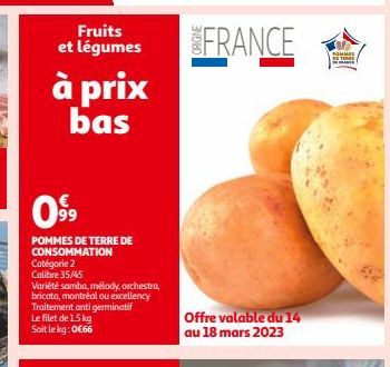 POMMES DE TERRE DE CONSOMMATION 