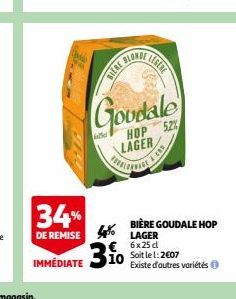 BIÈRE GOUDALE HOP LAGER