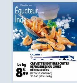 CREVETTES ENTIÈRES CUITES RÉFRIGÉRÉES OU CRUES DÉCONGELÉES  