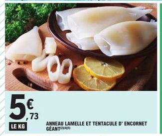 LE KG  ,73  ANNEAU LAMELLE ET TENTACULE D' ENCORNET GEANT 