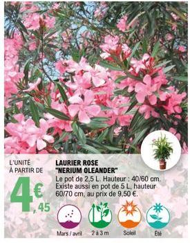 L'UNITÉ  À PARTIR DE  4%  45  LAURIER ROSE  "NERIUM OLEANDER"  Le pot de 2,5 L. Hauteur : 40/60 cm. Existe aussi en pot de 5 L, hauteur 60/70 cm, au prix de 9,50 €.  @  Mars/avril  2à3m Soleil Été  