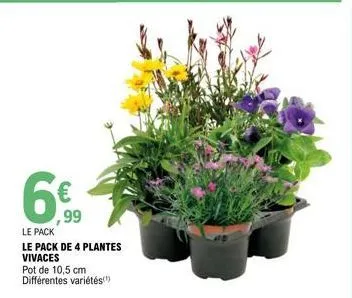 6  ,99  le pack  le pack de 4 plantes vivaces  pot de 10,5 cm différentes variétés(¹) 