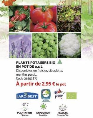 PLANTS POTAGERS BIO EN POT DE 0,5 L Disponibles en fraisier, ciboulette, menthe, persil... Code 26353877  À partir de 2,95 € le pot  JARDIBEST  PLANTATION EXPOSITION RÉCOLTE Printemps Eroietiin Printe