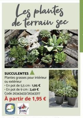 Les plantes de terrain gec  SUCCULENTES  Plantes grasses pour intérieur ou extérieur  • En pot de 5,5 cm: 1,95 €  • En pot de 9 cm: 2,49 € Code 26343433/26343317  À partir de 1,95 €  FLEURS 