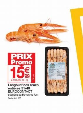 PRIX Promo  15€€  la barquette de 1 kg  Langoustines crues entières 31/40 EUROCONTACT  pêchées au Royaume-Uni Code: 831627 