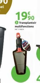 transplantoir 