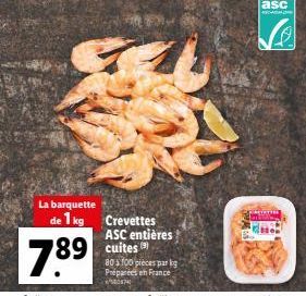 crevettes 