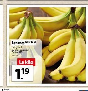 Bananes (56) Catégorie 1 Variété: Cavendish Calibre P20  WEDODD  Le kilo  19 
