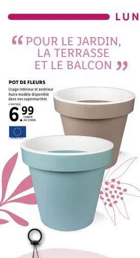 pot de fleurs 