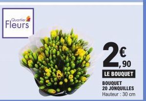 Quartier  2  (1)  €  1,90  LE BOUQUET  BOUQUET 20 JONQUILLES Hauteur : 30 cm 