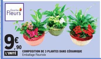 plantes 