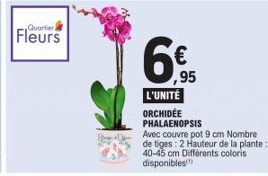 Quartieri  Fleurs  ,95  L'UNITÉ  ORCHIDÉE  PHALAENOPSIS  Avec couvre pot 9 cm Nombre. de tiges: 2 Hauteur de la plante: 40-45 cm Différents coloris disponibles(¹) 