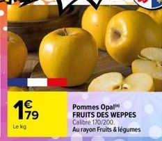 199  Le kg  Pommes Opal FRUITS DES WEPPES Calibre 170/200 Au rayon Fruits & légumes 