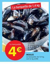 moules 