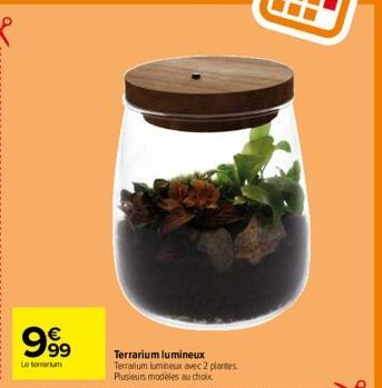 €  99999  Le tou  Terrarium lumineux Terrarum lumineux avec 2 plantes Plusieurs modèles au choix 
