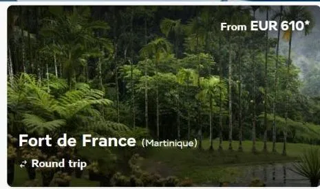 fort de france (martinique) round trip  from eur 610* 