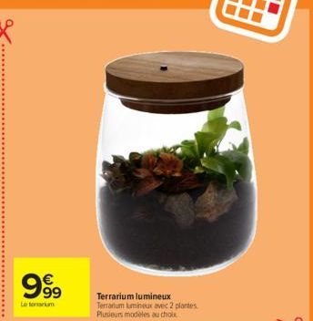 999  €  Letonium  Terrarium lumineux  Terrartum lumineux avec 2 plantes Plusieurs modèles au choix 