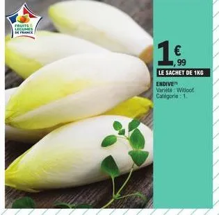 fruits legumes be france  1€  ,99  le sachet de 1kg endive  variete witloof categorie: 1. 