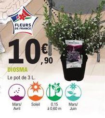 FLEURS  DE FRANCE  10€  ,90  DIOSMA  Le pot de 3 L.  Mars/ Soleil Auril  0,15  à 0,60 m  Mars/  Juin 