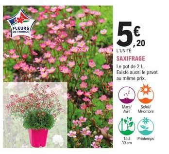 FLEURS  DE FRANCE  ,20  L'UNITÉ SAXIFRAGE  Le pot de 2 L. Existe aussi le pavot au même prix.  Mars/ Soleil/ Avril Mi-ombre  15 à 30 cm  Printemps 