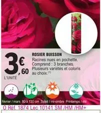 3€0  ,60  l'unité  rosier buisson  € racines nues en pochette.  comprend: 3 branches plusieurs variétés et coloris au choix  février/mars 80 à 120 cm soleil/mi-ombre printemps/ o ref. 1874 lec 10141 s