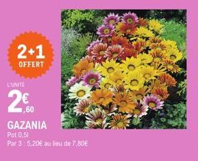 2+1  OFFERT  L'UNITÉ  ,60  GAZANIA  Pot 0,51  Par 3: 5,20€ au lieu de 7.80€ 