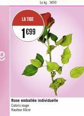 LA TIGE  1699  Rose emballée individuelle Coloris rouge Hauteur 60cm 