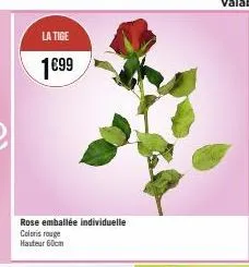 la tige  1€99  rose emballée individuelle coloris rouge hauteur 60cm 