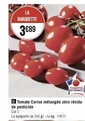 tomate cerise 