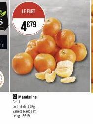 LE FILET  4€79  C Mandarine  Cal 1  Le filet de 1,5kg Variété Nadorcat  Le kg 3€19 