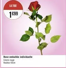 la tige  1€99  rose emballée individuelle coloris rouge hauteur 60cm 