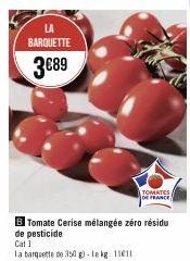 tomate cerise 