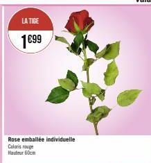 LA TIGE  1€99  Rose emballée individuelle Coloris rouge Hauteur 60cm 